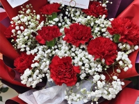 岳陽華容縣花店送80歲媽媽康乃馨花束