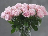 粉玫瑰花束圖片賞析,粉玫瑰花束適合的送花對象!