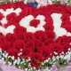 IOU-99枝红玫瑰IOU心形花束，2只小熊