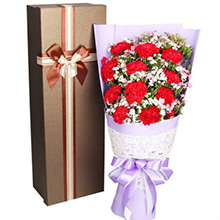 感恩的愛-11朵紅色康乃馨送父母老師長輩花束