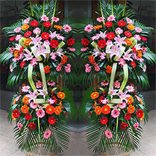 大展宏圖-粉百合+各色扶郎花，搭配劍葉散尾葵開業花籃