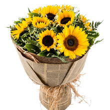 溫暖時光-9朵向日葵，搭配水晶草、梔子葉