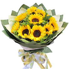 燦爛陽光-11枝向日葵，搭配黃鶯、綠葉