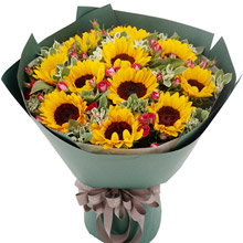 父愛如山-11朵向日葵，高山積雪點綴送長輩鮮花