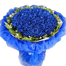 唯獨(dú)愛(ài)您-99朵藍(lán)色妖姬，搭配梔子葉、相思梅女神表白鮮花