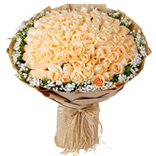 我的男神-99朵香檳玫瑰，搭配相思梅