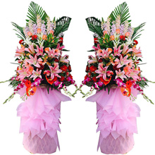 財運通達-開業慶典喬遷精品花籃