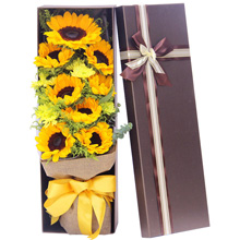 快樂幸福-9枝向日葵，搭配黃鶯、雛菊