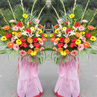 財運亨通-34枝扶郎花+4枝百合慶典開業花籃