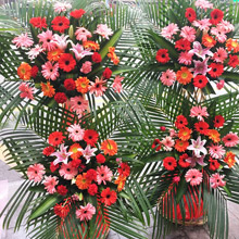 步步高升-各色扶郎花精品開業(yè)慶典喬遷花籃