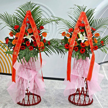 鴻運福星-20朵各色扶郎花，1枝多頭白百合，搭配綠葉、散尾葵開業花籃