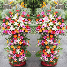 富貴大吉-各色扶郎花+百合+天堂鳥精品開業(yè)花籃