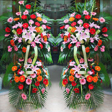 蓬勃發展-各色扶郎花+8朵粉百合開業慶典花籃