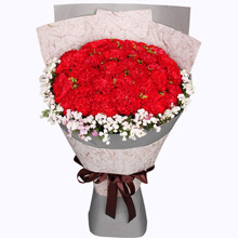 母愛無價 - 33枝紅色康乃馨搭配相思梅送父母長輩鮮花