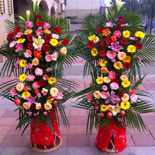 盛大開業-各色扶郎花+百合盛大開業精品慶典花籃