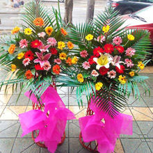 興旺發達-21朵各色扶郎花+2朵粉百合開業花籃