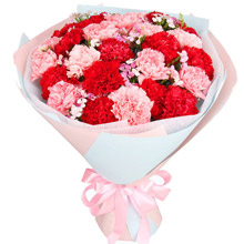 父母恩情-29朵紅粉康乃馨搭配相思梅黃鶯送長輩花束