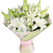 美好心情-8枝香水白百合，搭配滿天星、梔子葉、黃鶯