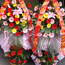 財源滾滾-38朵扶郎花+2枝香水百合慶典開業花籃