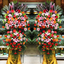 祥云環繞-68朵扶郎花+10朵粉百合賀公司開業慶典花籃