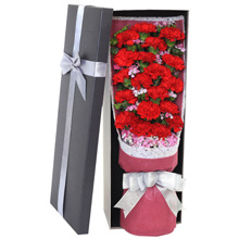 心懷感恩-19枝紅色康乃馨，搭配相思梅點綴