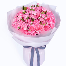 溫暖的愛-99枝粉色康乃馨、搭配梔子葉送媽媽花束