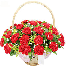 美好心愿-36枝紅色康乃馨，梔子葉、滿天星、黃鶯