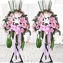 客似云來-粉色扶郎花、多頭粉+白百合