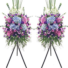 錢途無量-紫玫瑰、繡球、紫桔梗