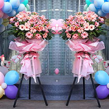 盛大開業-3枝粉百合、30朵粉色扶朗花，搭配散尾葉