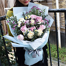 情意綿綿-11枝香檳+戴安娜，紫黃小雛菊豐滿