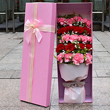 感恩媽媽-19枝康乃馨混搭（紅+粉）創意禮盒