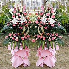 福開新運-扶郎花、香檳玫瑰、白百合、金魚草，配適散尾葵、尤加利、劍葉