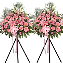 鴻運高照-粉色扶郎花、粉康、粉桔梗、粉百合，配梔子葉、劍蘭