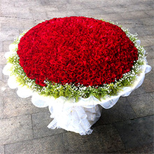 一生愛你-520枝精品紅玫瑰，外圍黃鶯滿天星