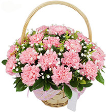 溫馨思念-36枝粉色康乃馨，搭配梔子葉、滿天星、黃鶯