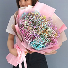 多姿多彩-1扎彩色滿天星