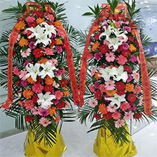 事業興旺-50朵各色扶郎花、6朵香水百合，散尾葵、富貴竹