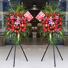 四季納財-26朵紅扶郎花、5枝粉百合，搭配劍葉、巴西葉、散尾葵