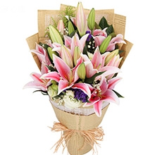 真心實意-7枝香水粉百合，搭配桔梗、滿天星、勿忘我