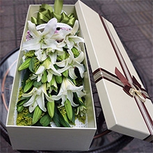 祝福-19朵白百合，配黃鶯草、相思梅，精美禮盒