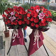 紅紅火火-30朵紅色扶郎花、3朵粉百合，散尾葵