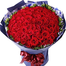 眷戀-99枝紅玫瑰，外圍搭配相思梅