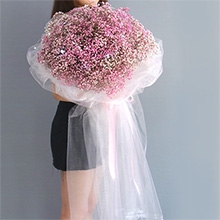 滿天星辰-粉色滿天星1扎、小彩燈，白紗款