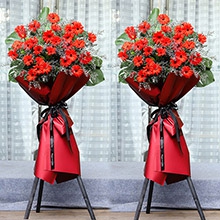 宏圖大展-30朵紅色扶朗花，搭配情人草、龜背葉