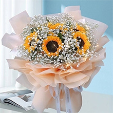 快快樂樂-6朵向日葵，搭配白色滿天星