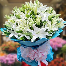 圓圓滿滿-12支白色多頭百合，搭配滿天星、黃鶯、梔子葉豐滿