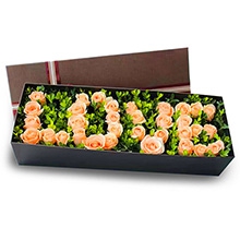 33枝香檳玫瑰拼LOVE字樣、綠葉間插豐滿。精美長方形禮盒