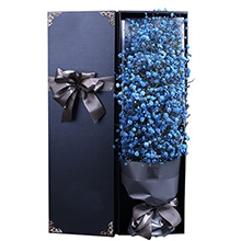 浪漫的事-1大扎藍色滿天星，精美禮盒