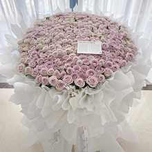 海枯石爛-520朵海洋之謎玫瑰